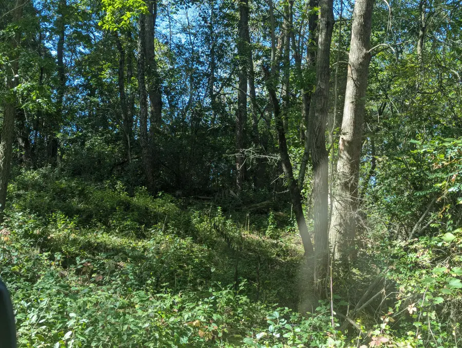 14550 Geneva Rd, Sparta, WI 54656 - Image #3