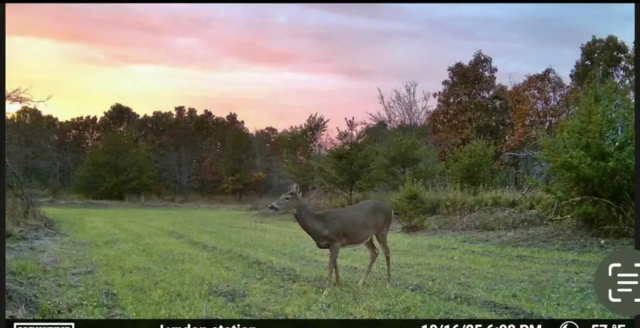 Lt2 Koval Rd, Lyndon, WI 53944 - Image #2