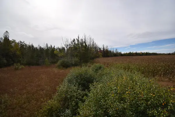 Lt1 Old Highway 8, Laona, WI 54541