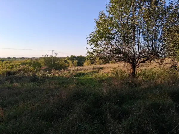 Lt0 E Neda Rd, Hubbard, WI 53035