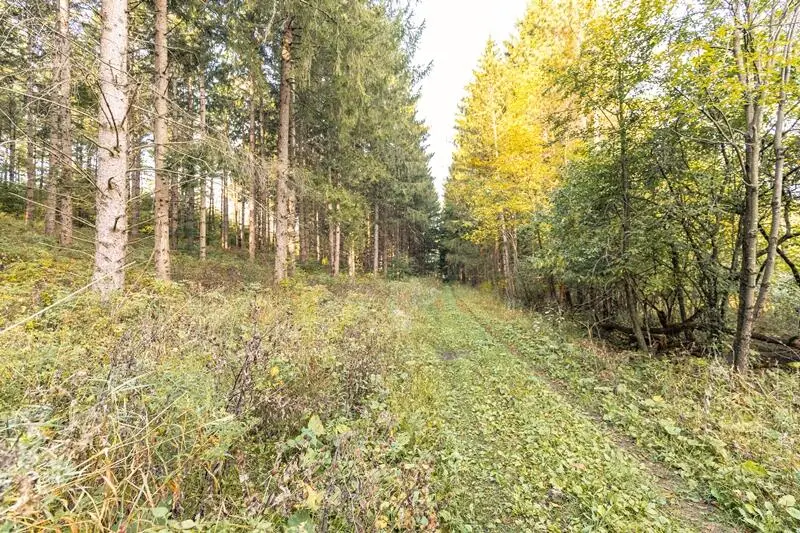 Lt0 County Road A W, Mitchell, WI 53011 - Image #3