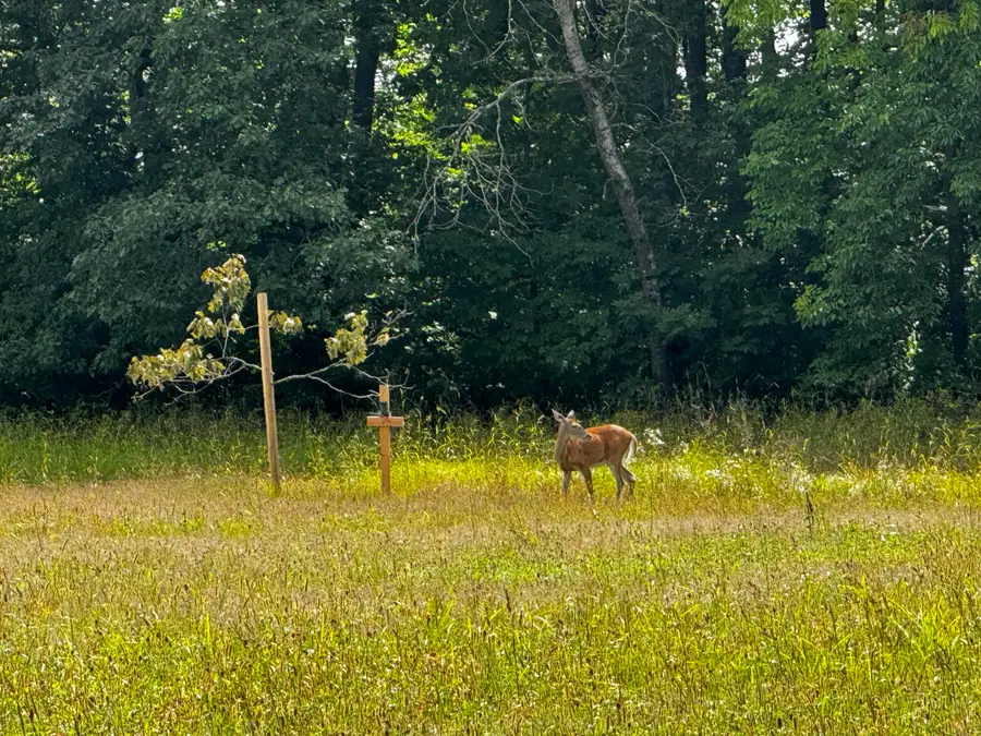 N2179 Schalk Rd, Ogema, WI 54459 - Image #2