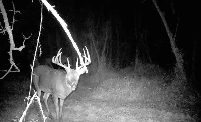 S2986 Barth Rd, Cross, WI 54629 - Image #2