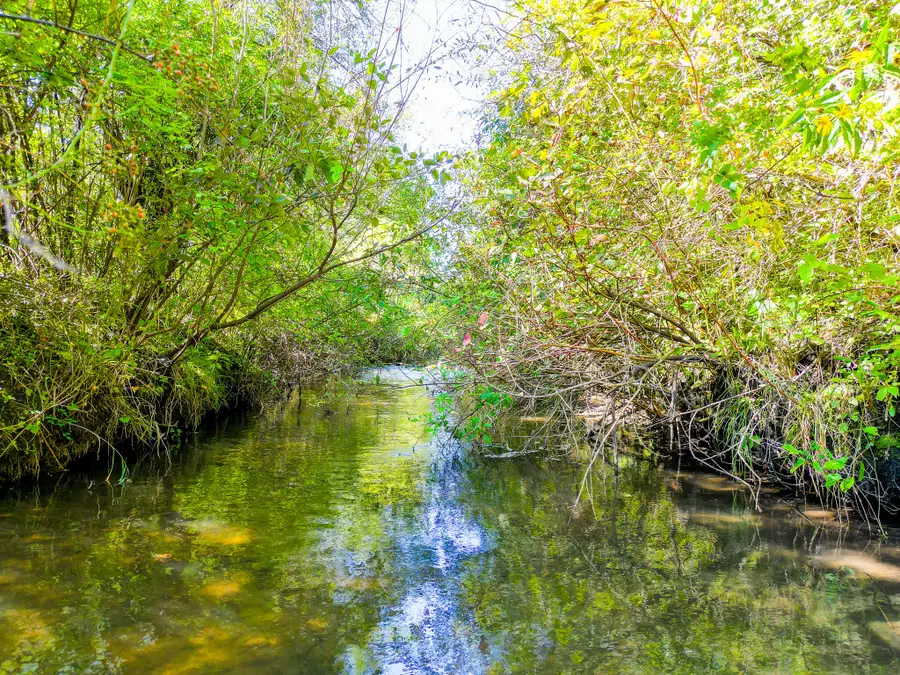 5619 352nd Ave, Wheatland, WI 53105 - Image #2