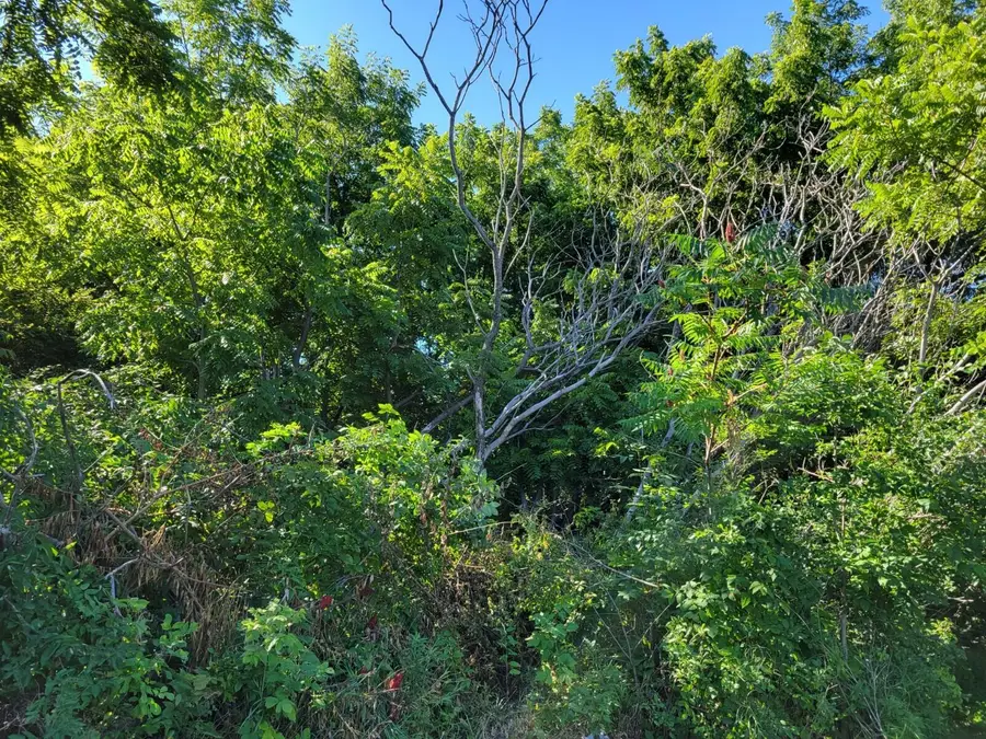 Lt1 Cedar St, Lake Geneva, WI 53147 - Image #2