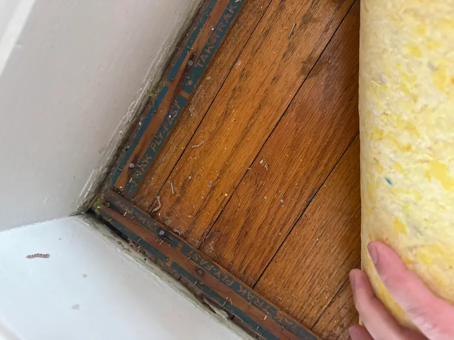 317 Euclid Ave, Sheboygan, WI 53083 - Image #3