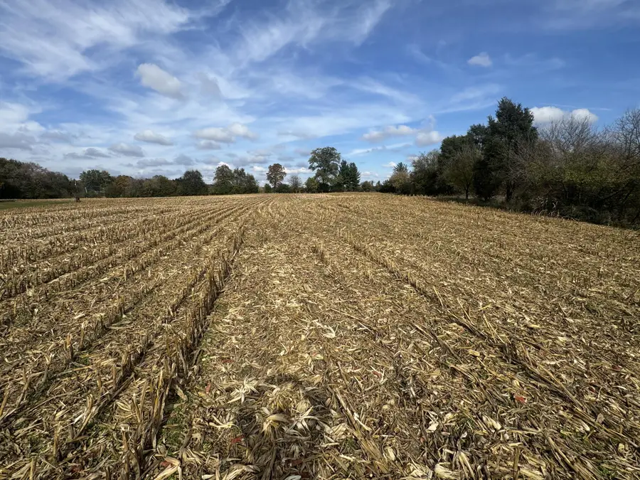 Lt11 Leo Ln, Big Bend, WI 53103 - Image #2