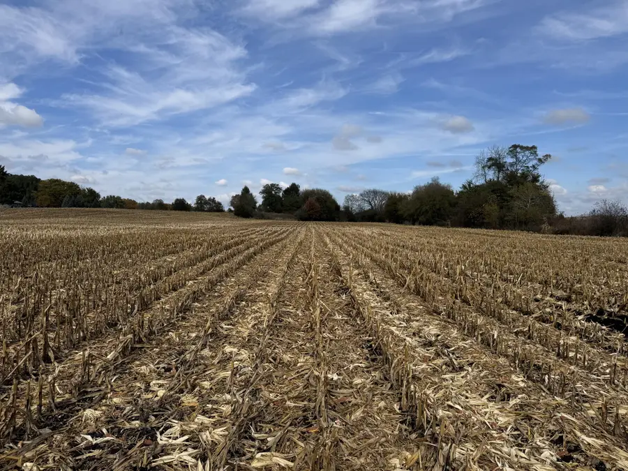 Lt15 Leo Ln, Big Bend, WI 53103 - Image #2