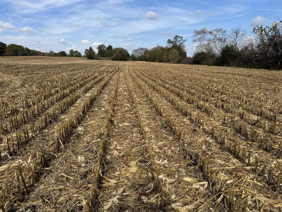 Lt16 Leo Ln, Big Bend, WI 53103 - Image #2