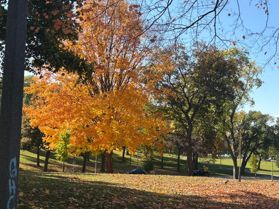 2771 S Quincy Ave, Milwaukee, WI 53207 - Image #3