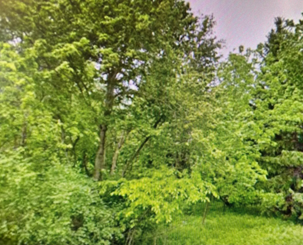 Lt1 County Highway Cc, Polk, WI 53086 - Image #1