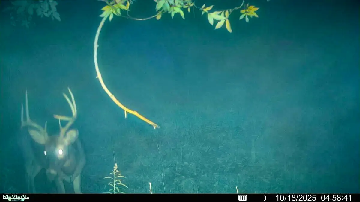 54982 Smith Rd, Utica, WI 54628 - Image #1