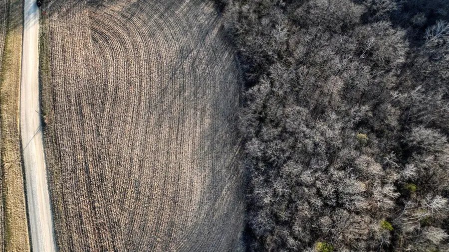 Lot 3 Lucky Ln, Seneca Town, WI 54626 - Image #3