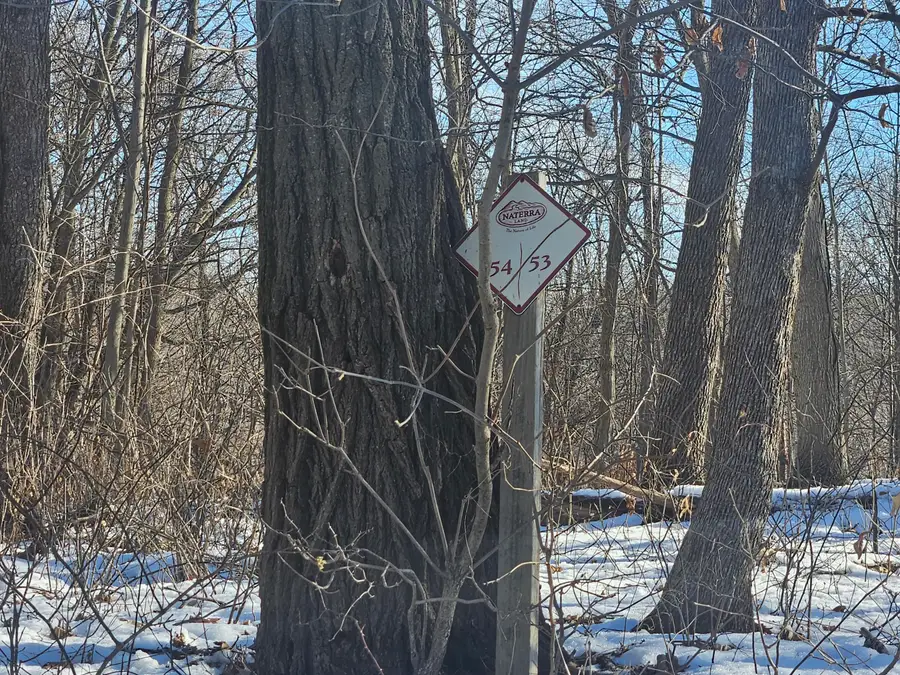 9450 Deepwoods Ln, Bagley, WI 53801 - Image #2