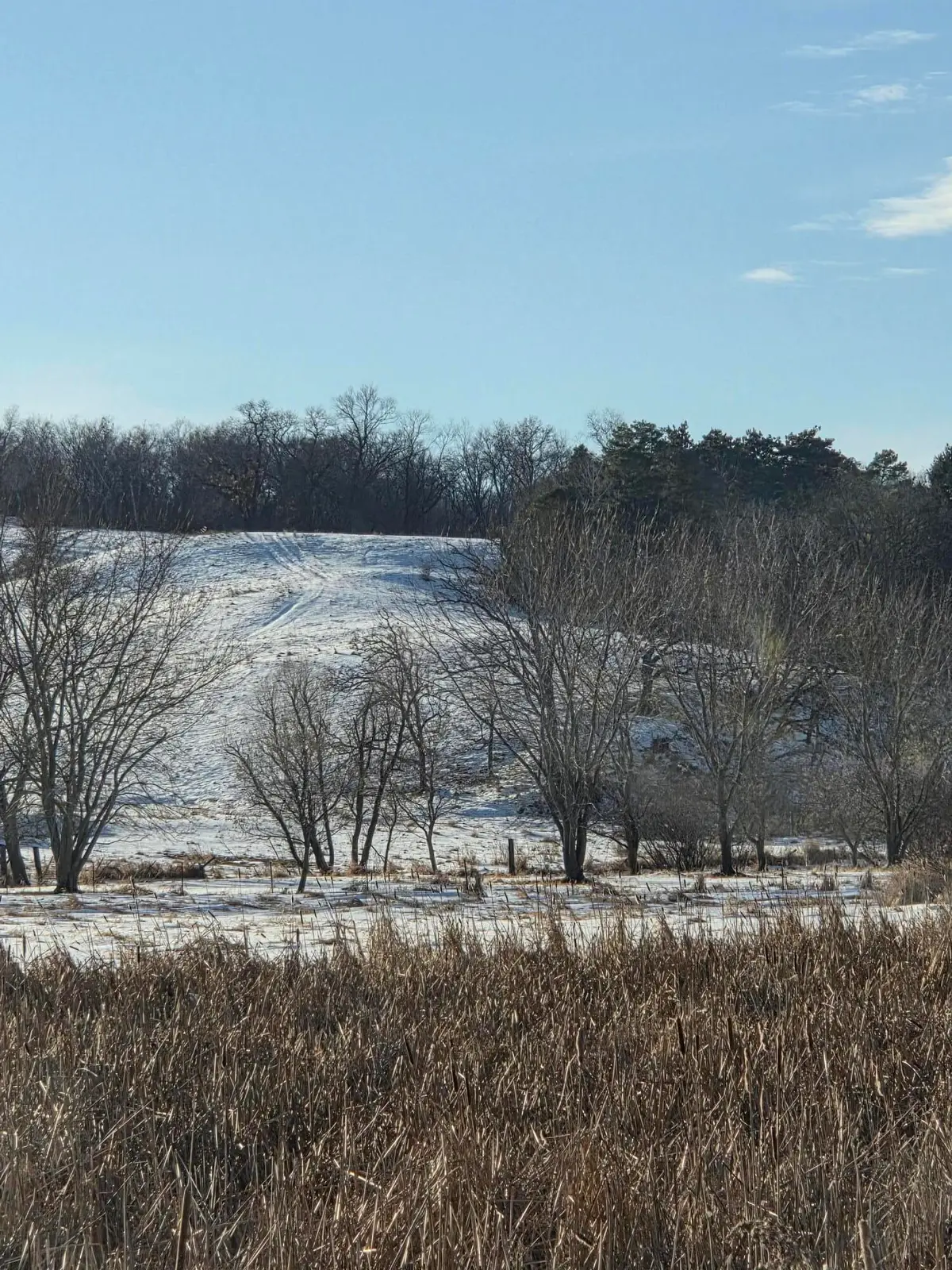 0 Highway 121, Dover, WI 54747 - Image #1