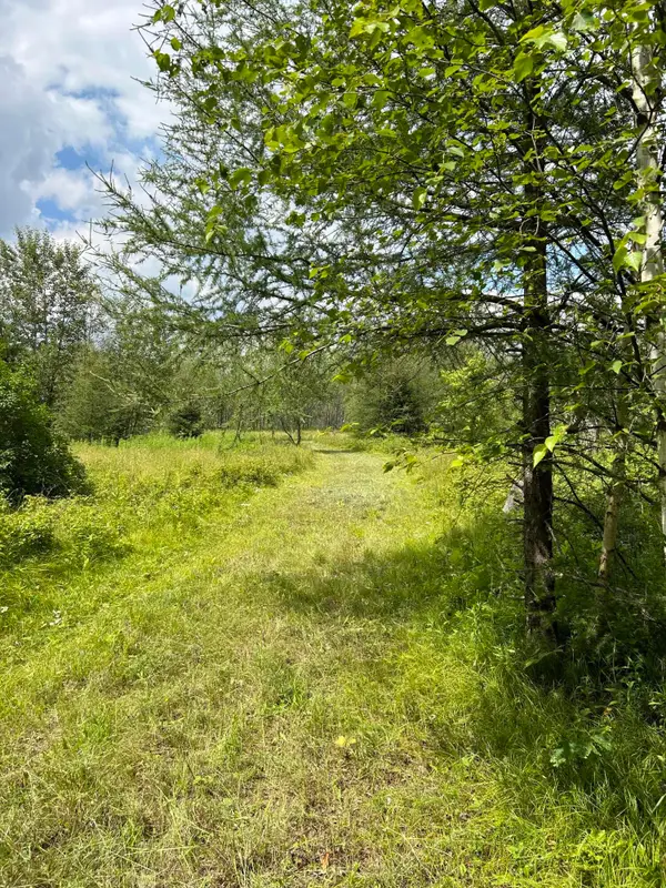 Lt44 Big Cub Trl, Blackwell, WI 54541