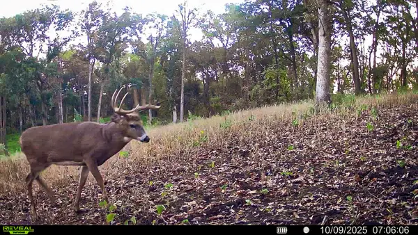 W27022 Whistlers Pass Rd, Dodge, WI 54625