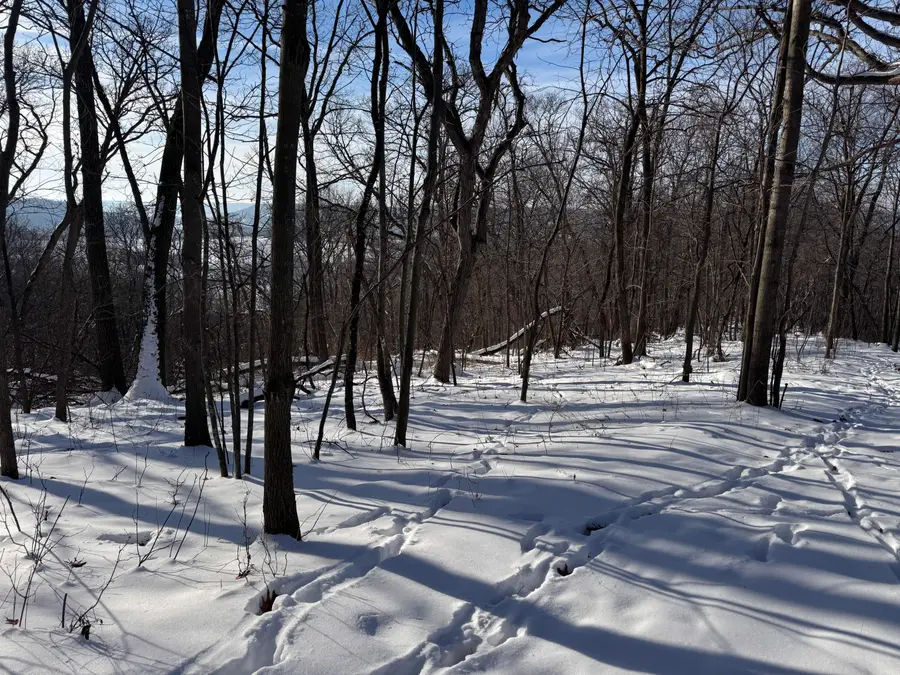 W27022 Whistlers Pass Rd, Dodge, WI 54625 - Image #2