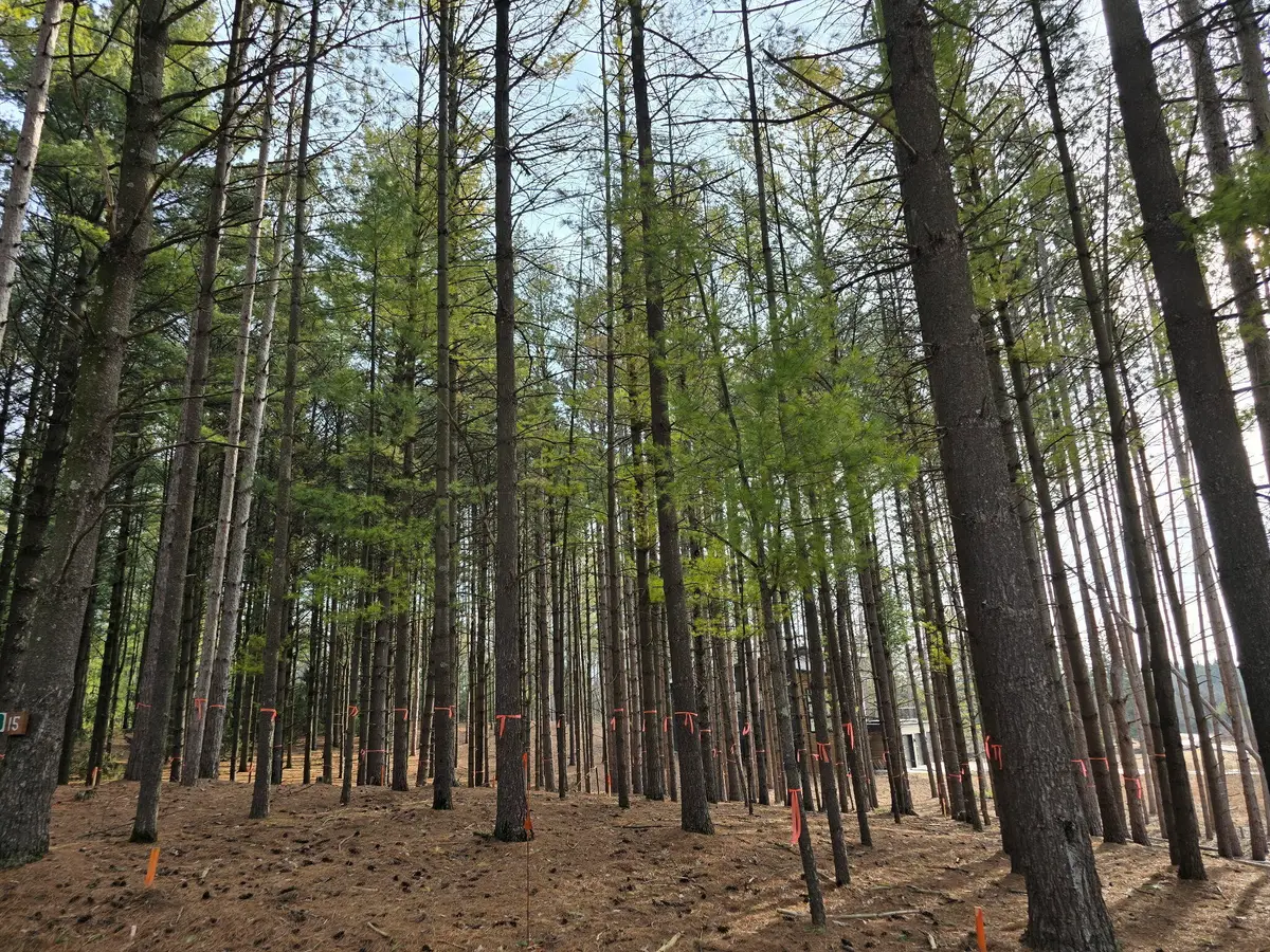 7855 Indian Lore Rd, Farmington, WI 53090 - Image #1