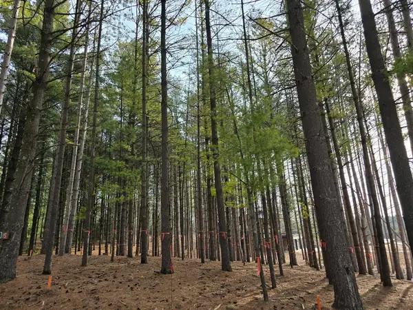 7855 Indian Lore Rd, Farmington, WI 53090