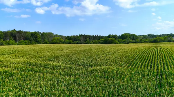 Lt2 3 Mile Rd, Caledonia, WI 53406