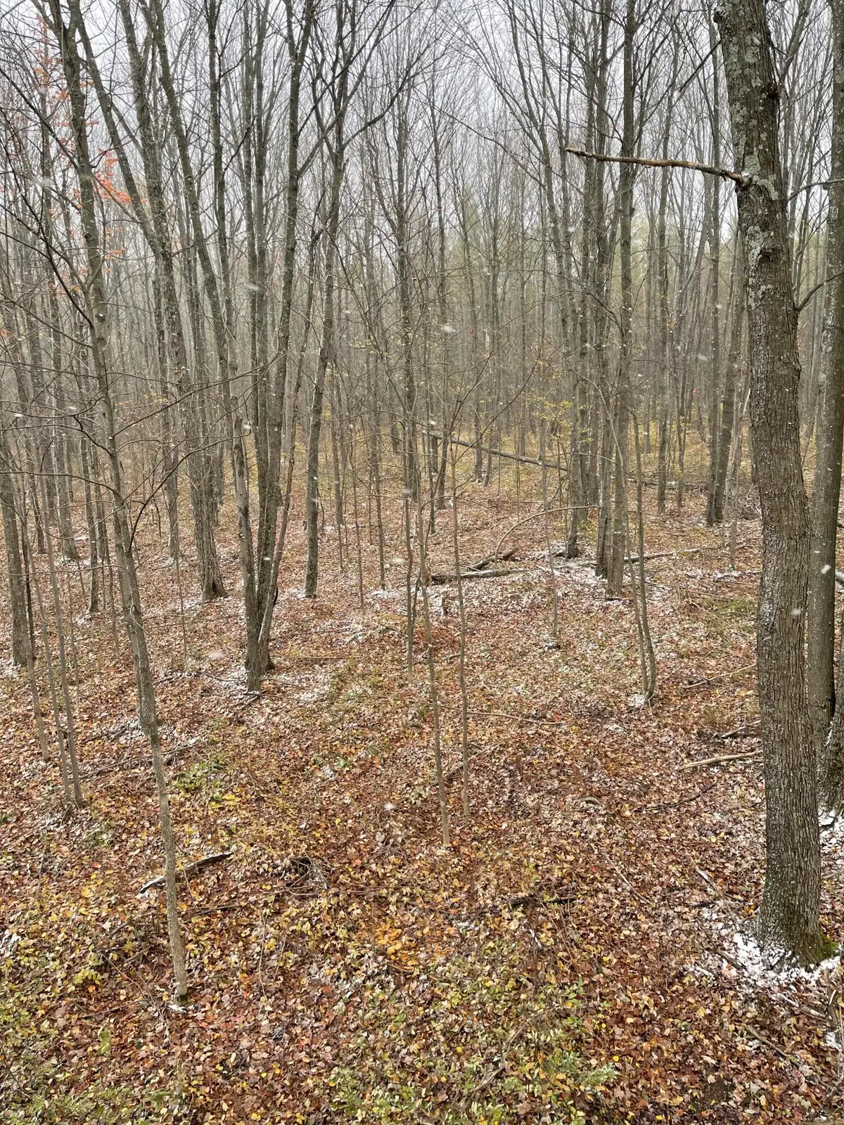 N4812 Spur Five Rd, Jump River, WI 54766 - Image #1