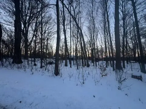 Lt 17 & 18 Forest Dr, Geneva, WI 53147 - Image #1