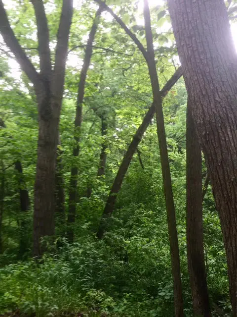 W5754 Nine Indian Trl, Elkhorn, WI 53121 - Image #2