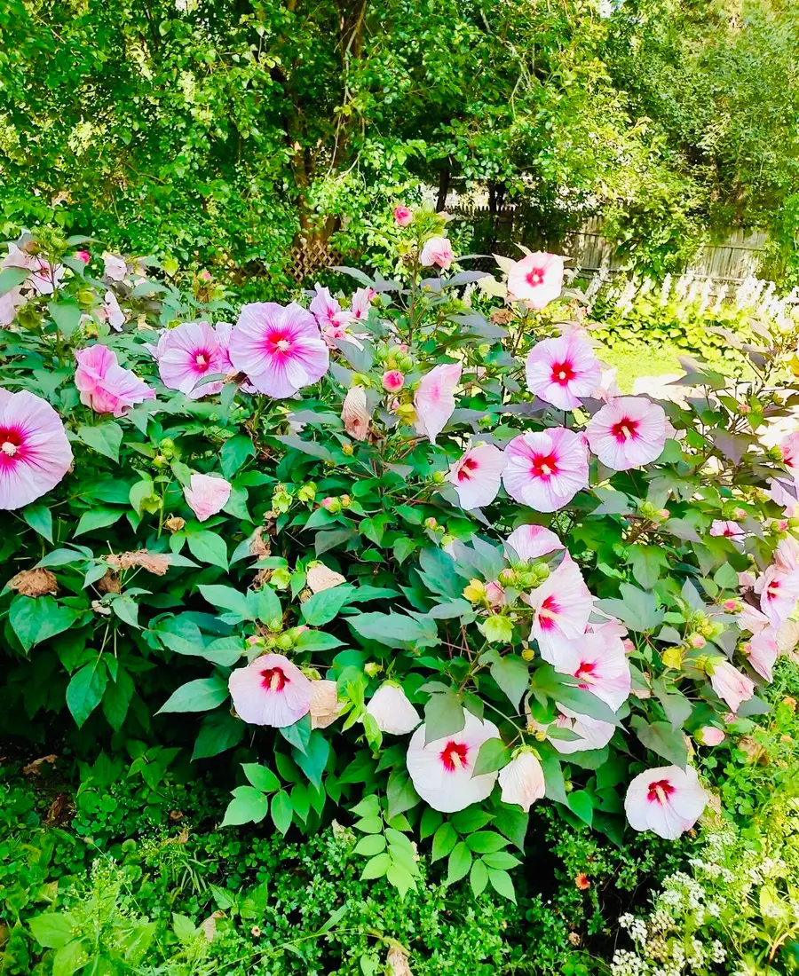 913 Chapel Hill Rd, Madison, WI 53711 - Image #3