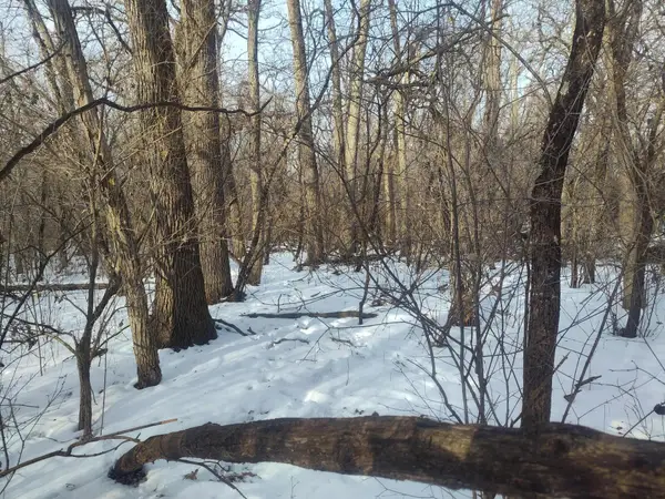 Lt11 109th St, Salem Lakes, WI 53179