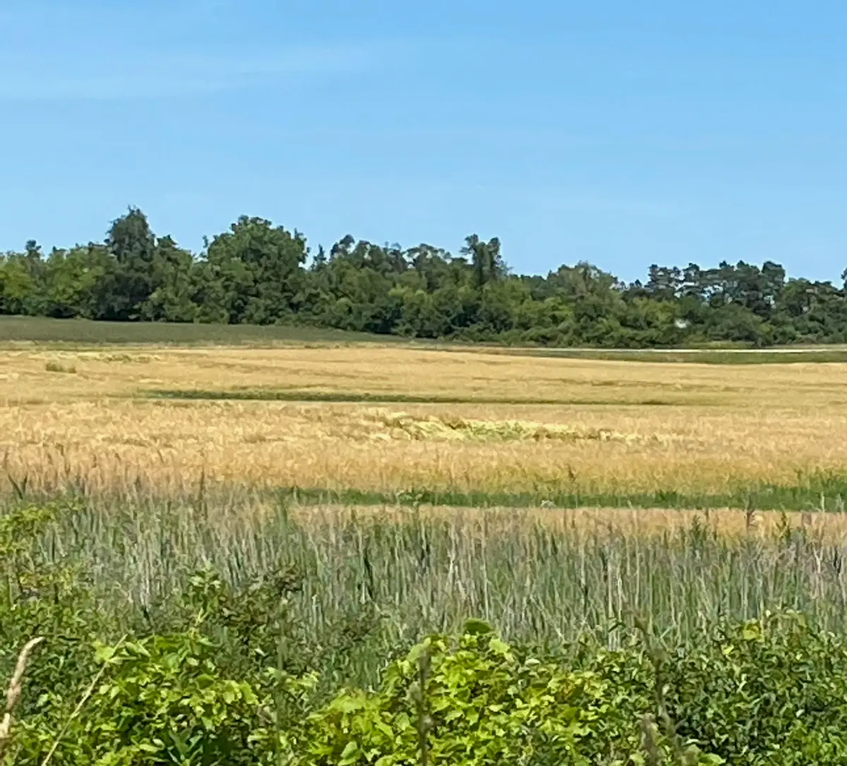 Lt0 Us Highway 41, Mount Pleasant, WI 53177 - Image #1