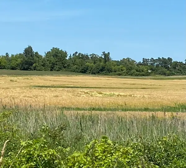 Lt0 Us Highway 41, Mount Pleasant, WI 53177