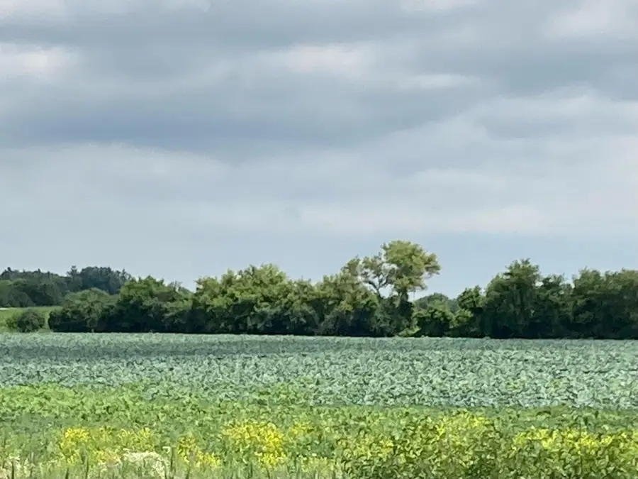 Lt0 Us Highway 41, Mount Pleasant, WI 53177 - Image #2