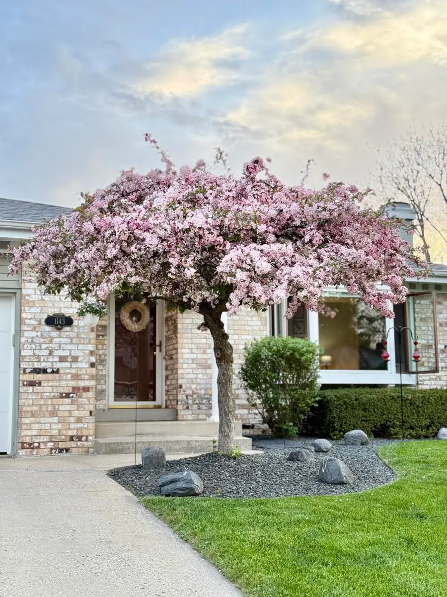 1143 Rainbow Ct, Mukwonago, WI 53149 - #2