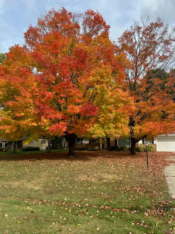 6106 S 121st St, Hales Corners, WI 53130 - #2