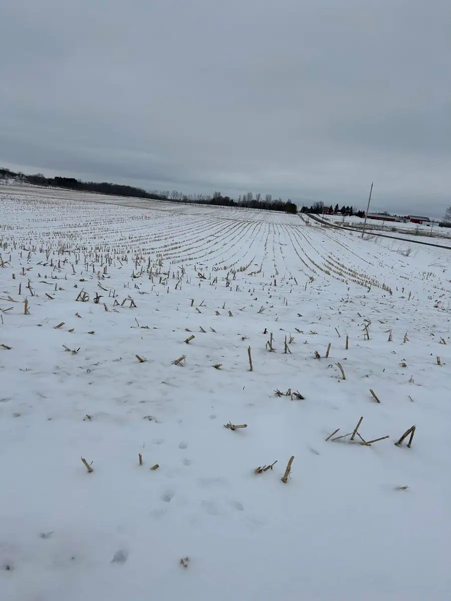 Lt 1 S Union Rd, Newton, WI 54220 - #3