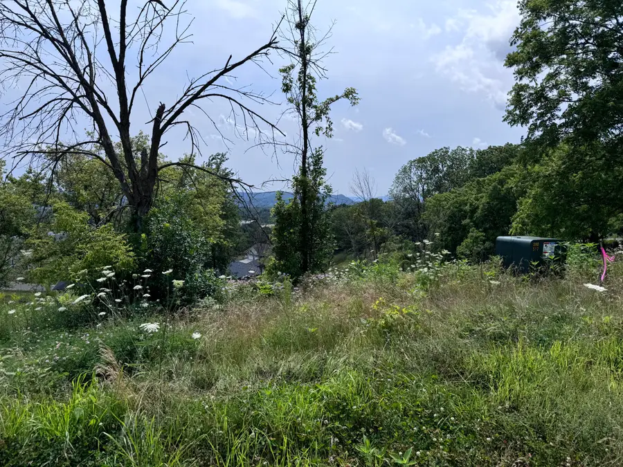 Lot 38 Madison Heights Dr, Onalaska, WI 54650 - Image #2