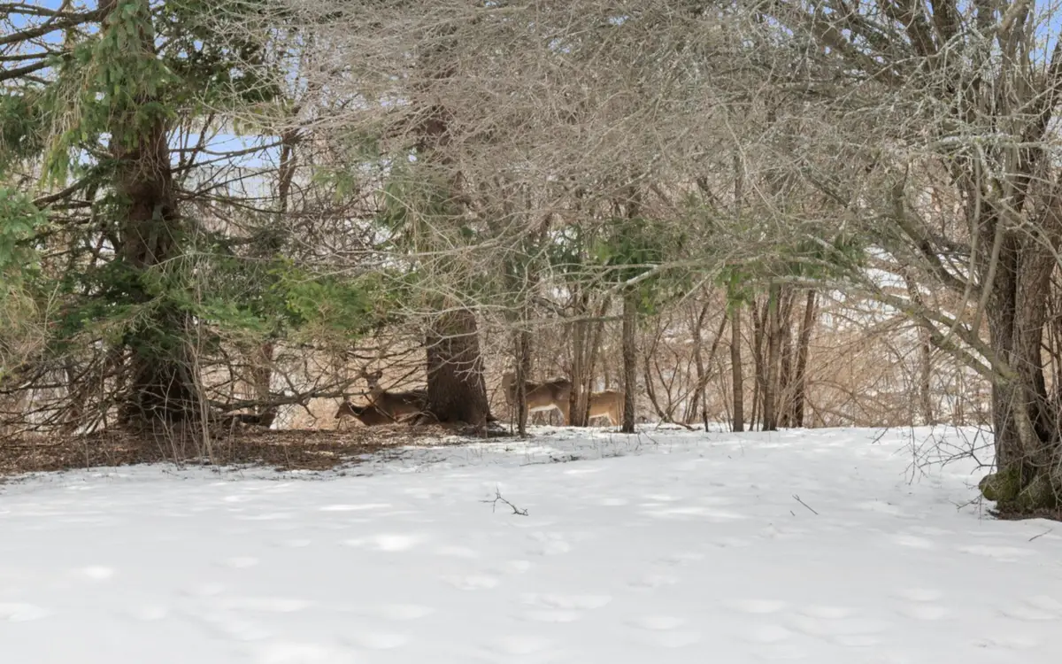 945 W Heritage Ct, Mequon, WI 53092 - #1