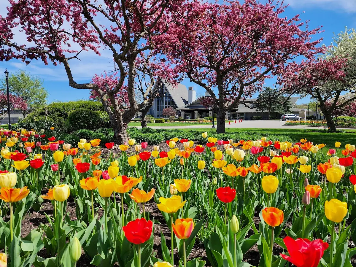 269 Fontana Blvd, Fontana, WI 53125 - #1