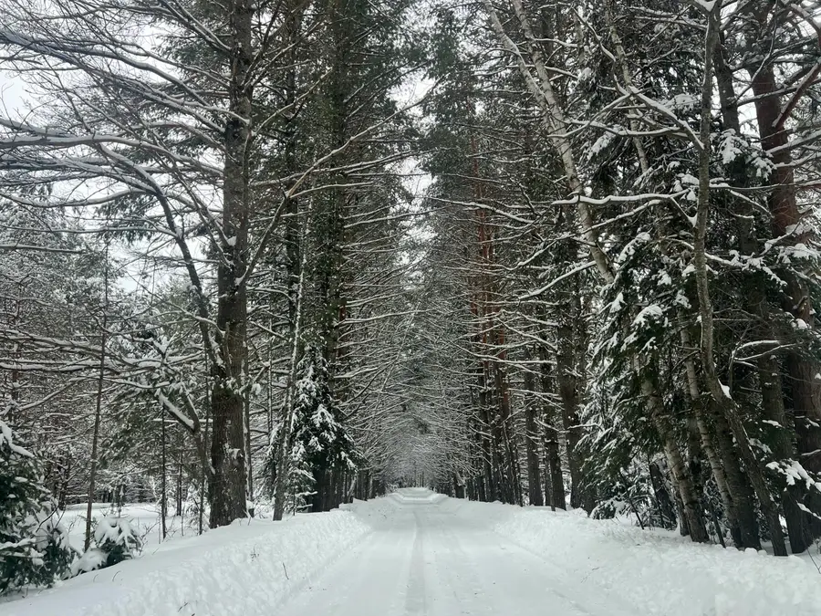 2550 Columbus Rd, Eagle River, WI 54521 - #2