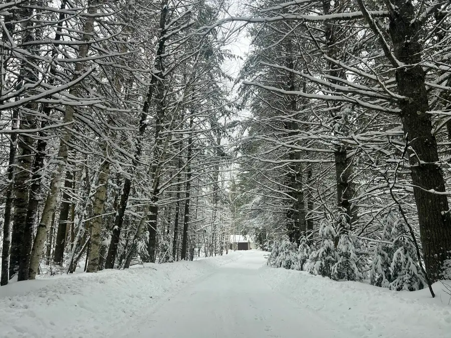 2550 Columbus Rd, Eagle River, WI 54521 - #3