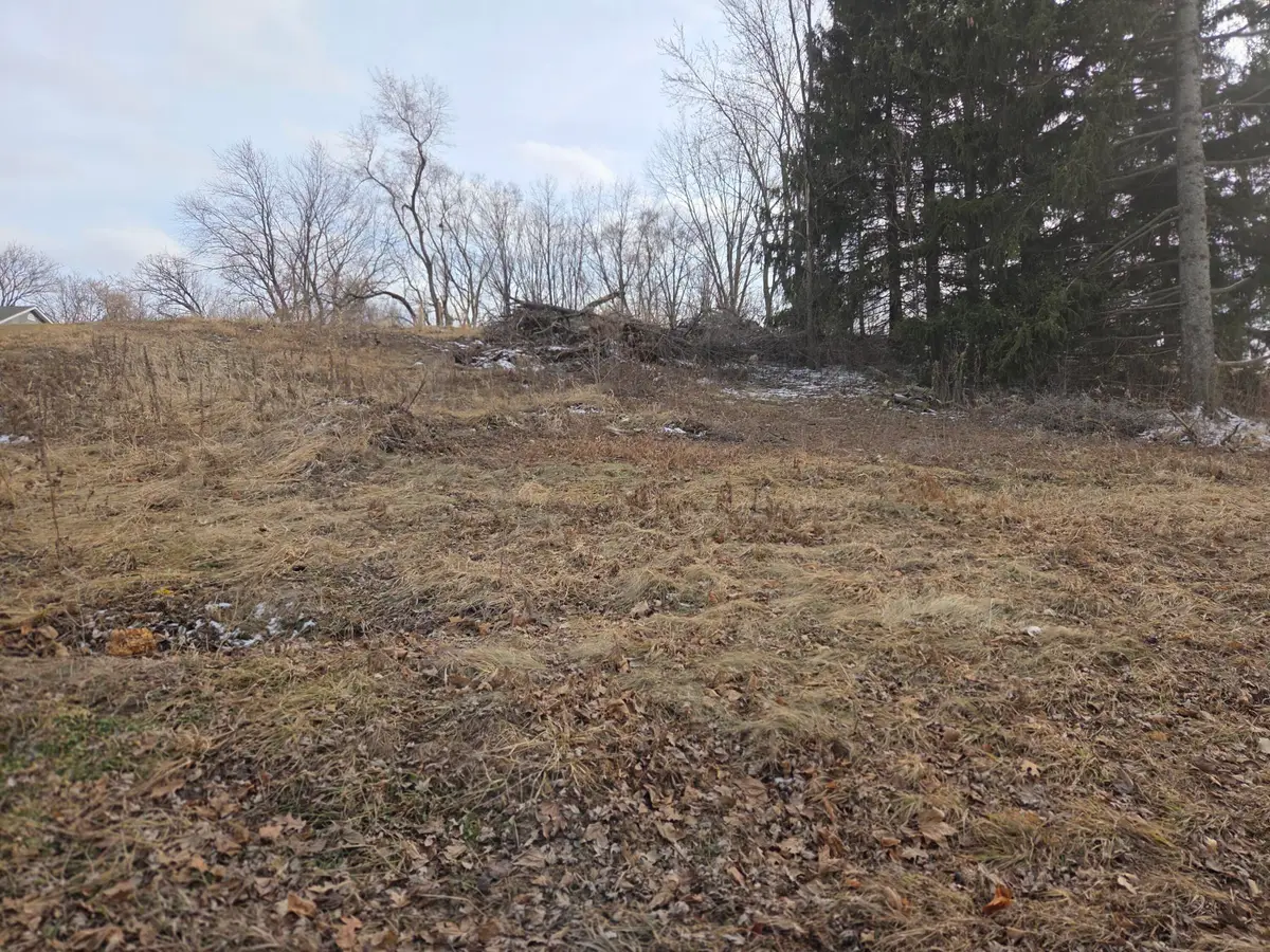 Lot 3 93rd St, Twin Lakes, WI 53181 - #1