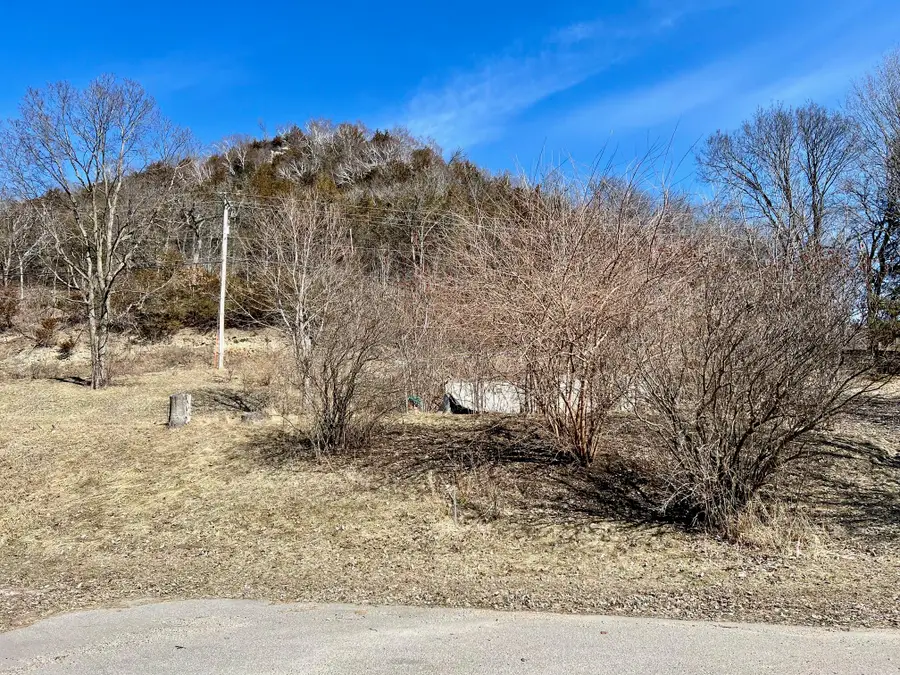 190 Pine St, Ferryville, WI 54628 - #2