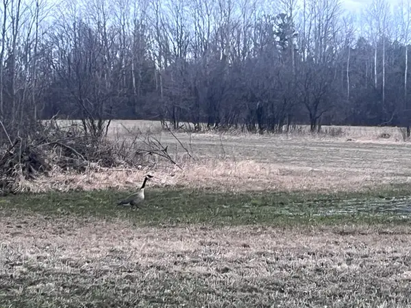 Lt2 Virginia Dr, Manitowoc, WI 54220