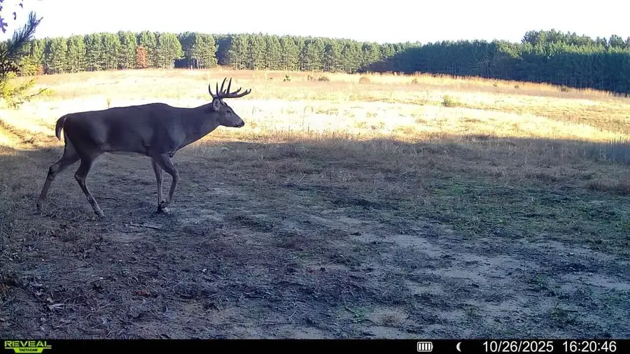 000 Cambridge Rd, Little Falls, WI 54656 - #2