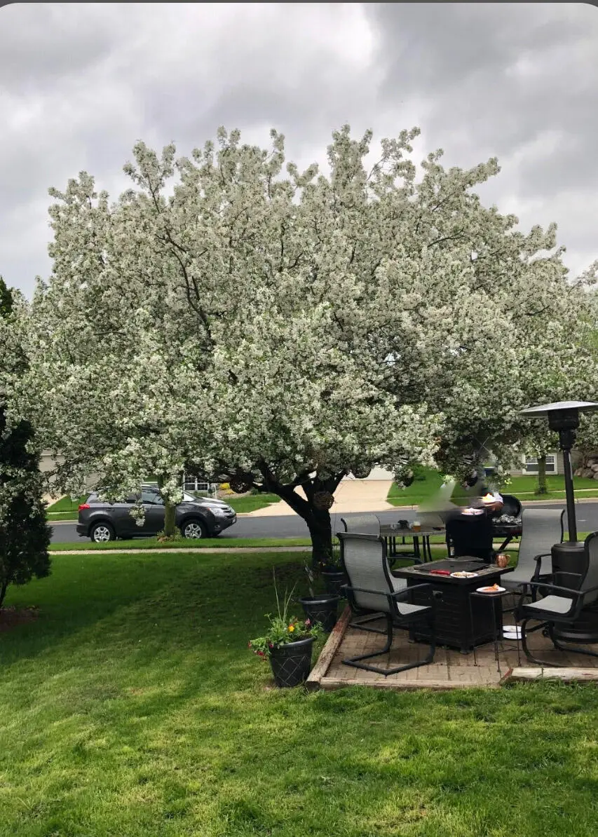 1214 Dayflower Dr, Madison, WI 53719 - #2