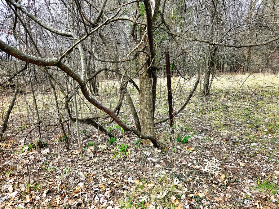 Lts 6-9 Arbutus Rd, Sugar Creek, WI 53121 - #2