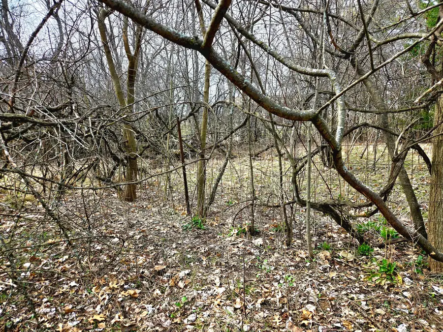 Lts 6-9 Arbutus Rd, Sugar Creek, WI 53121 - #3