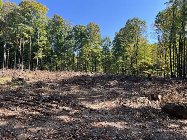 N3653 Grudgeville Rd, White Lake, WI 54491