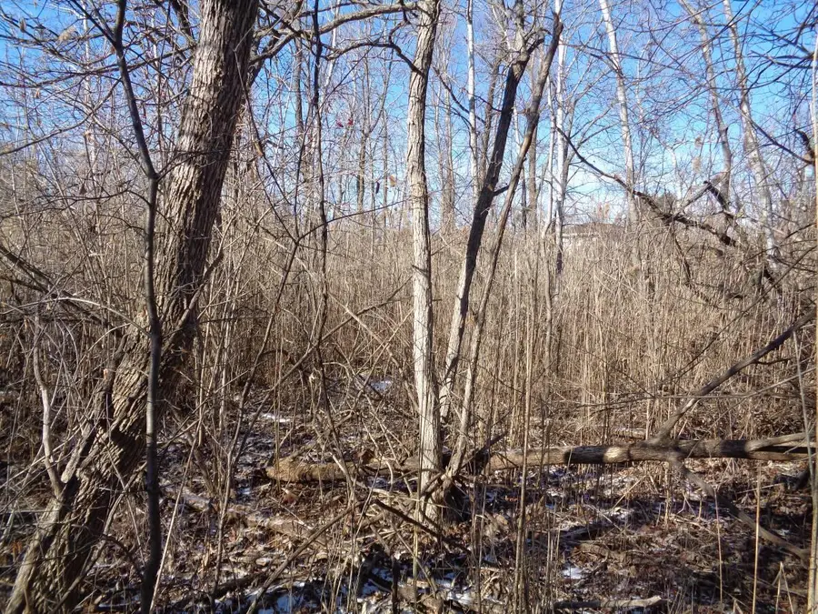 Lt249-264 Hyacinth Rd, Bloomfield, WI 53157 - #2